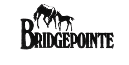 Bridgepointe